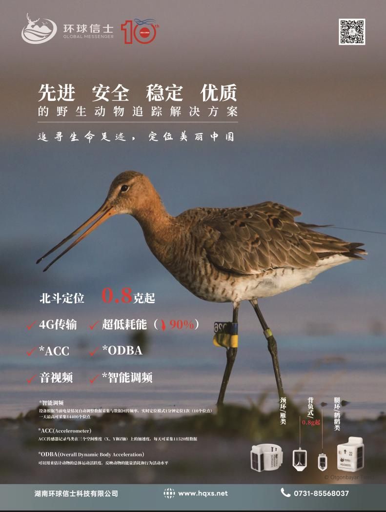 CC宝,湖南野生动物追踪,湖南卫星追踪器,湖南追踪器
