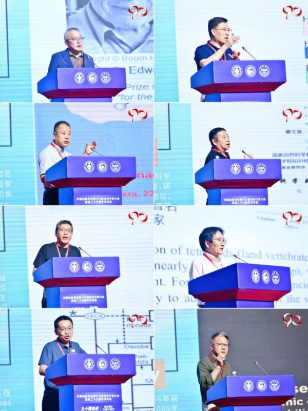 CC宝,湖南野生动物追踪,湖南卫星追踪器,湖南追踪器