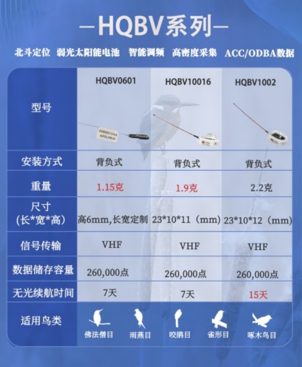 CC宝,湖南野生动物追踪,湖南卫星追踪器,湖南追踪器