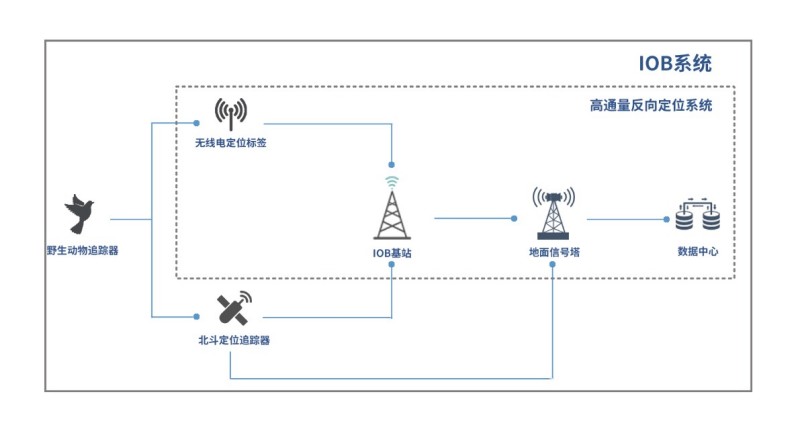 CC宝,湖南野生动物追踪,湖南卫星追踪器,湖南追踪器